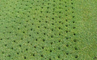 Die Abschläge und Grüns werden vom 13.-15.09. aerifiziert!