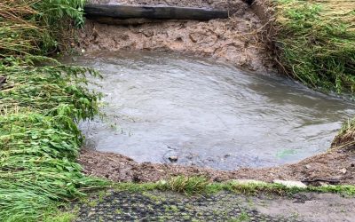 Zwischenstand zu aktuellen Schäden