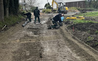 Fortgang der Arbeiten/ Welche Reihenfolge ist geplant?