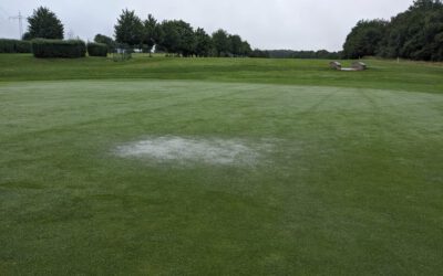 Starkregen: Grüns unter Wasser